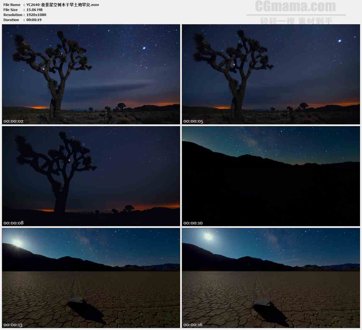 YC2640-夜景星空树木干旱土地旱灾高清实拍视频素材