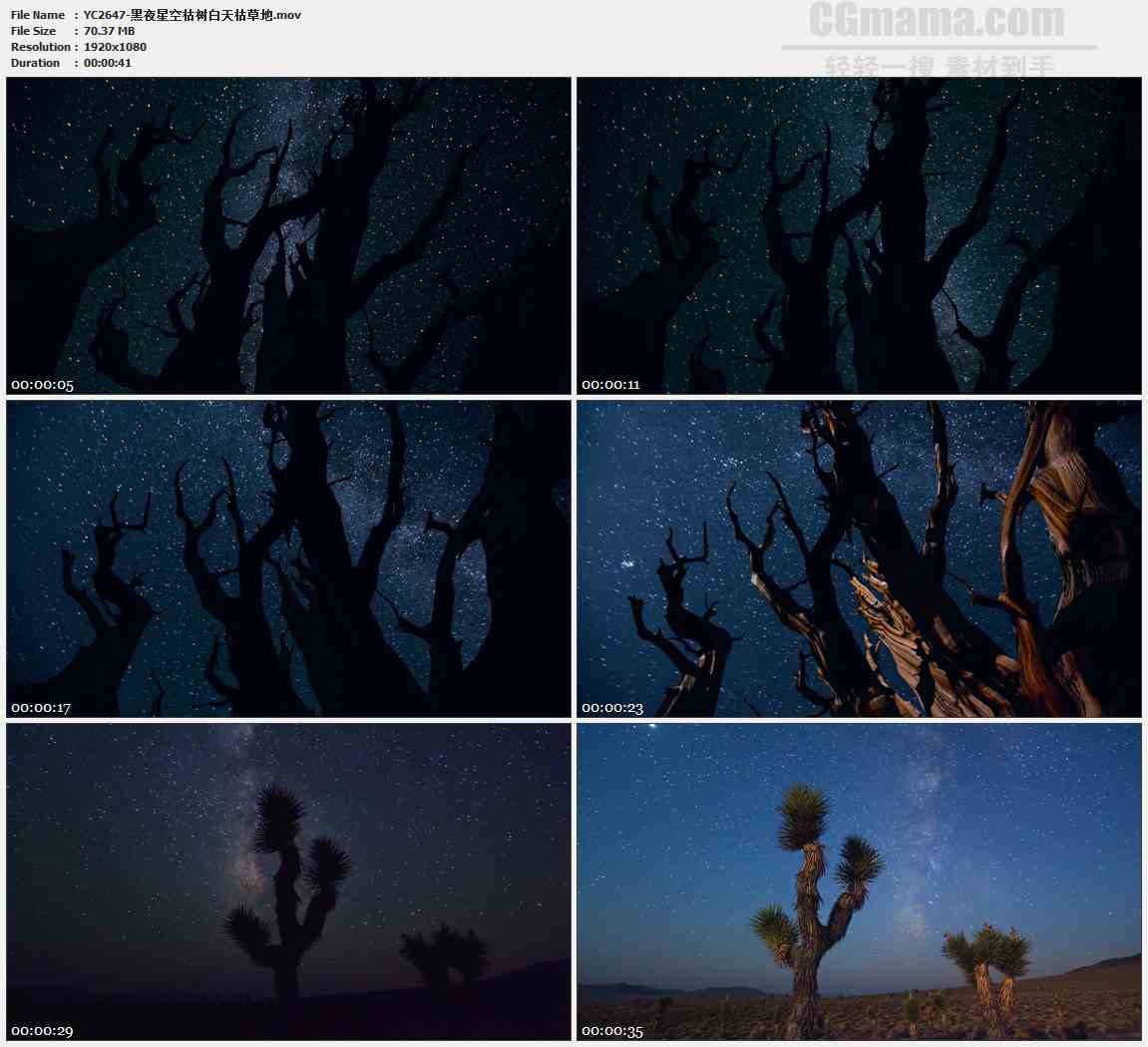 YC2647-黑夜星空枯树白天枯草地高清实拍视频素材