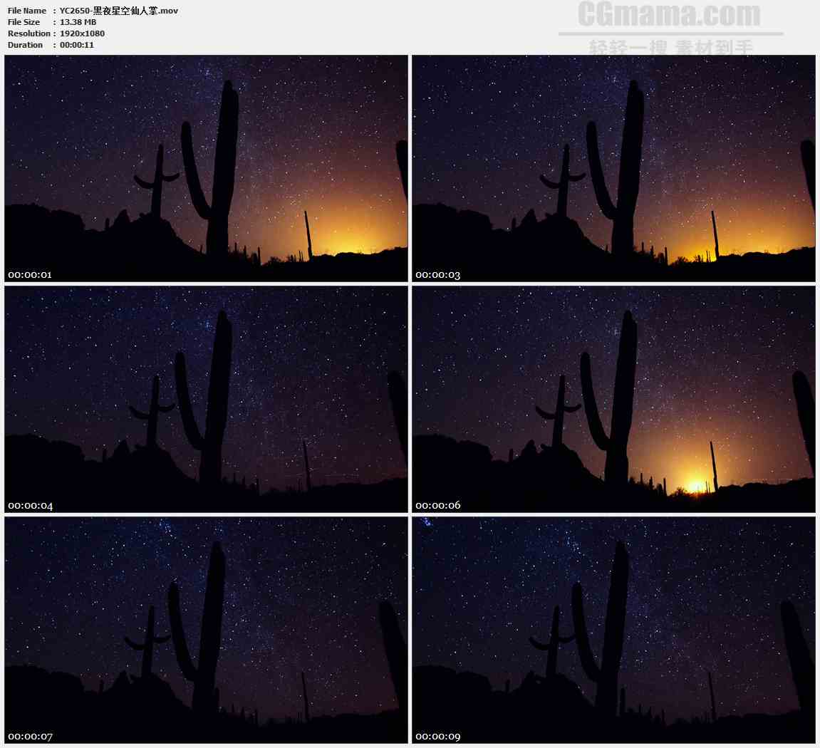 YC2650-黑夜星空仙人掌高清实拍视频素材