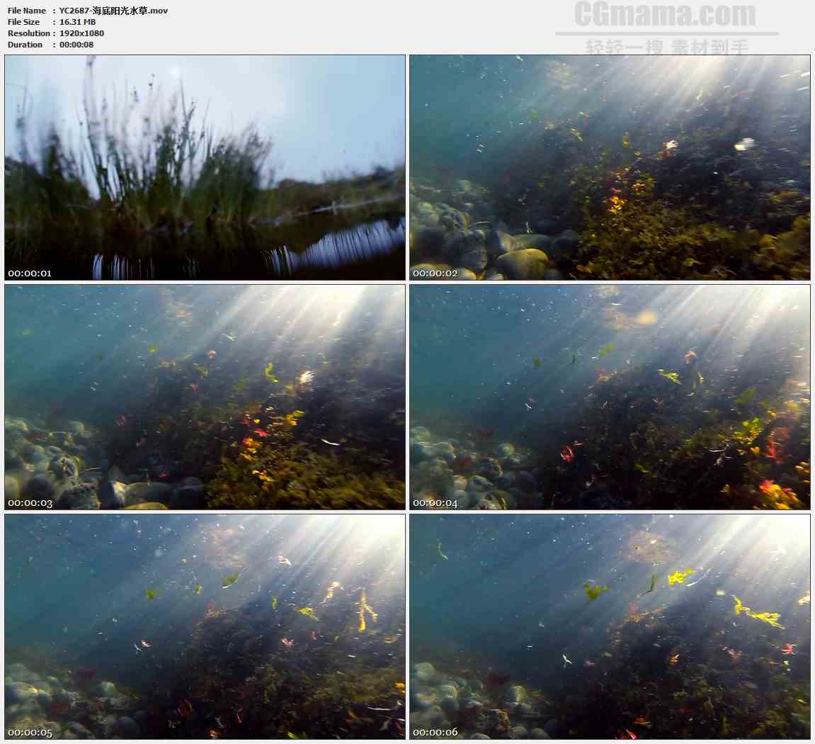 YC2687-海底阳光水草高清实拍视频素材