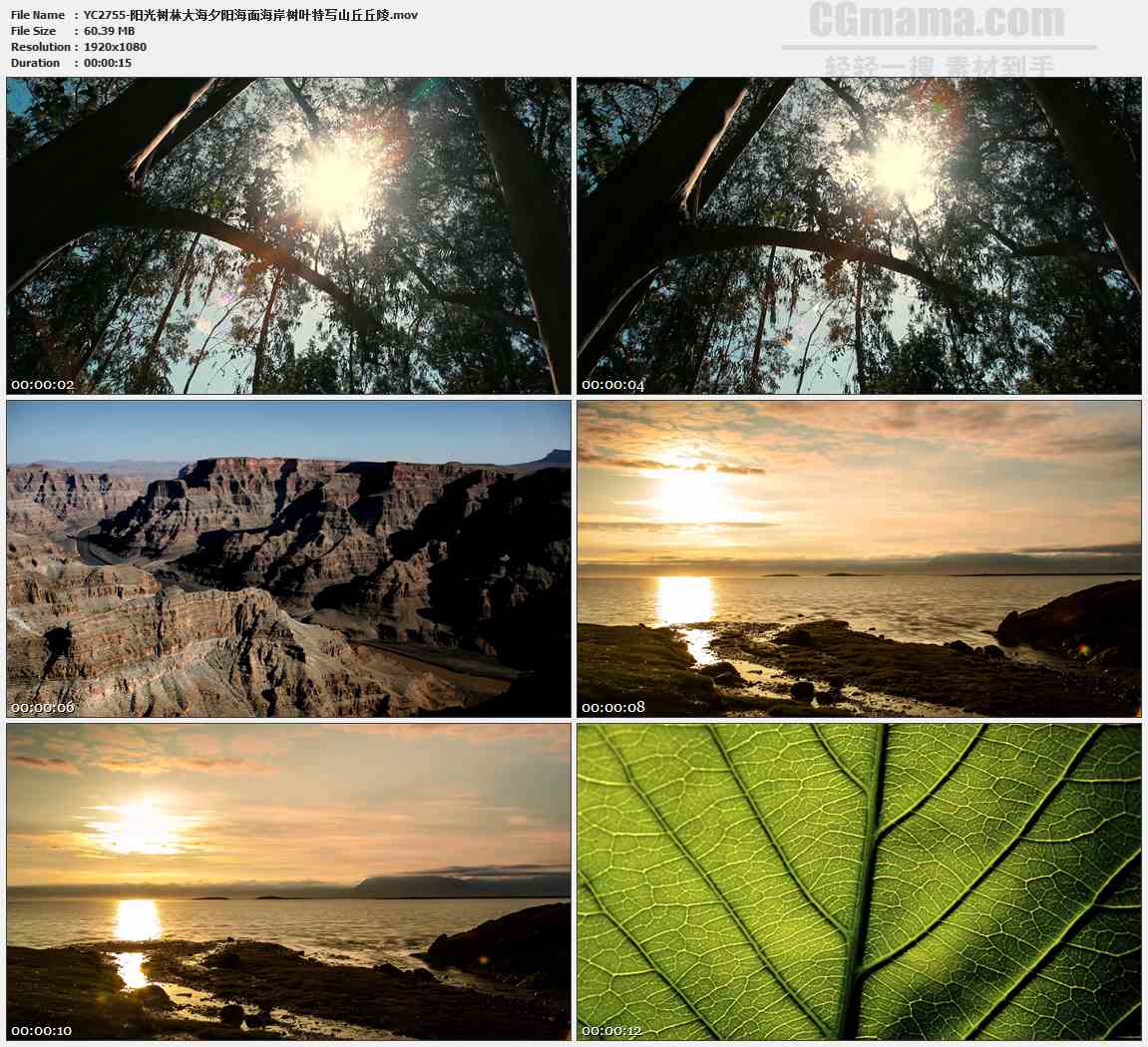 YC2755-阳光树林大海夕阳海面海岸树叶特写山丘丘陵高清实拍视频素材