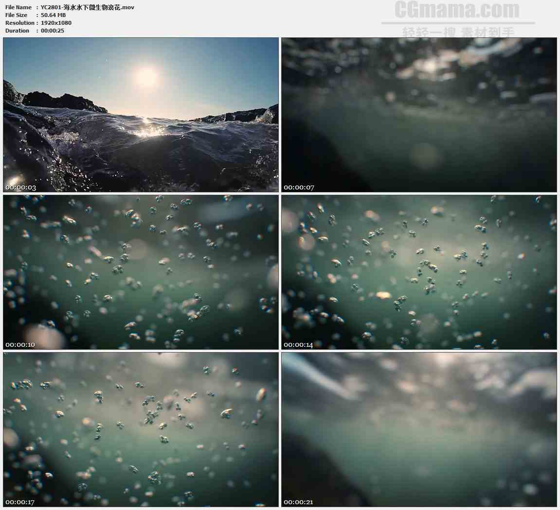 YC2801-海水水下微生物浪花高清实拍视频素材