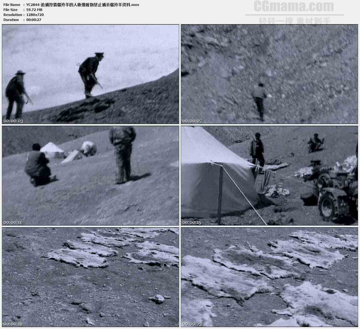 YC2844-追捕狩猎藏羚羊的人收缴赃物禁止捕杀藏羚羊资料高清实拍视频素材