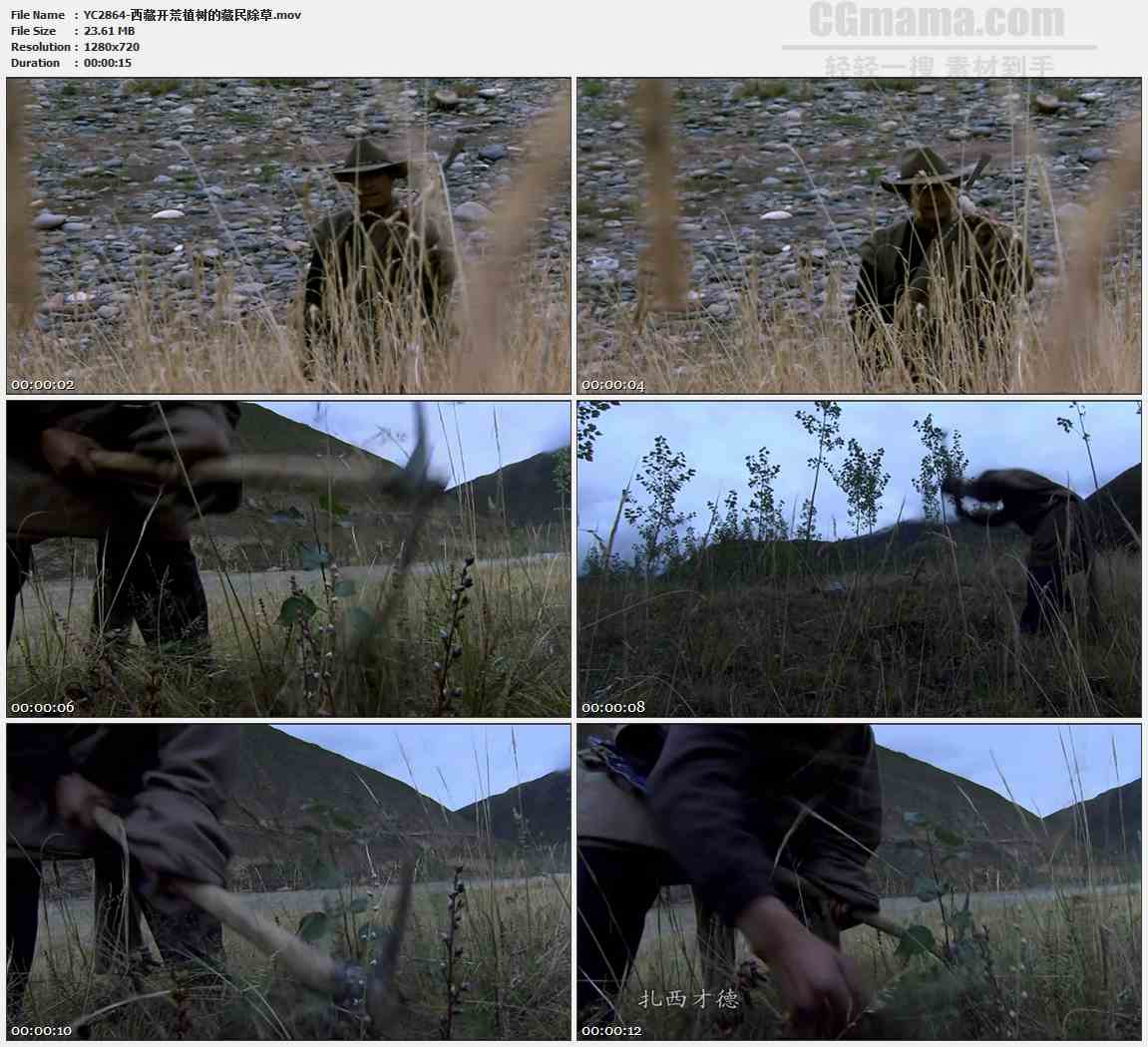 YC2864-西藏开荒植树的藏民除草高清实拍视频素材