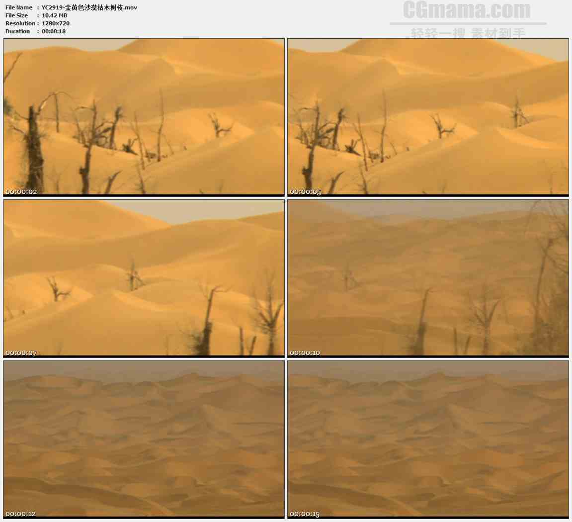 YC2919-金黄色沙漠枯木树枝高清实拍视频素材
