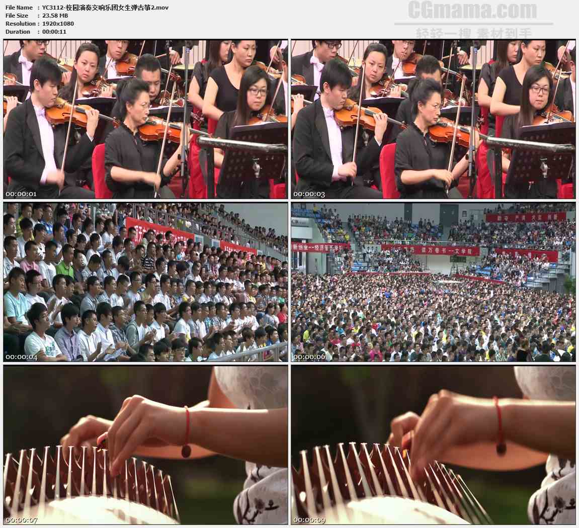 YC3112-校园演奏交响乐团女生弹古筝高清实拍视频素材