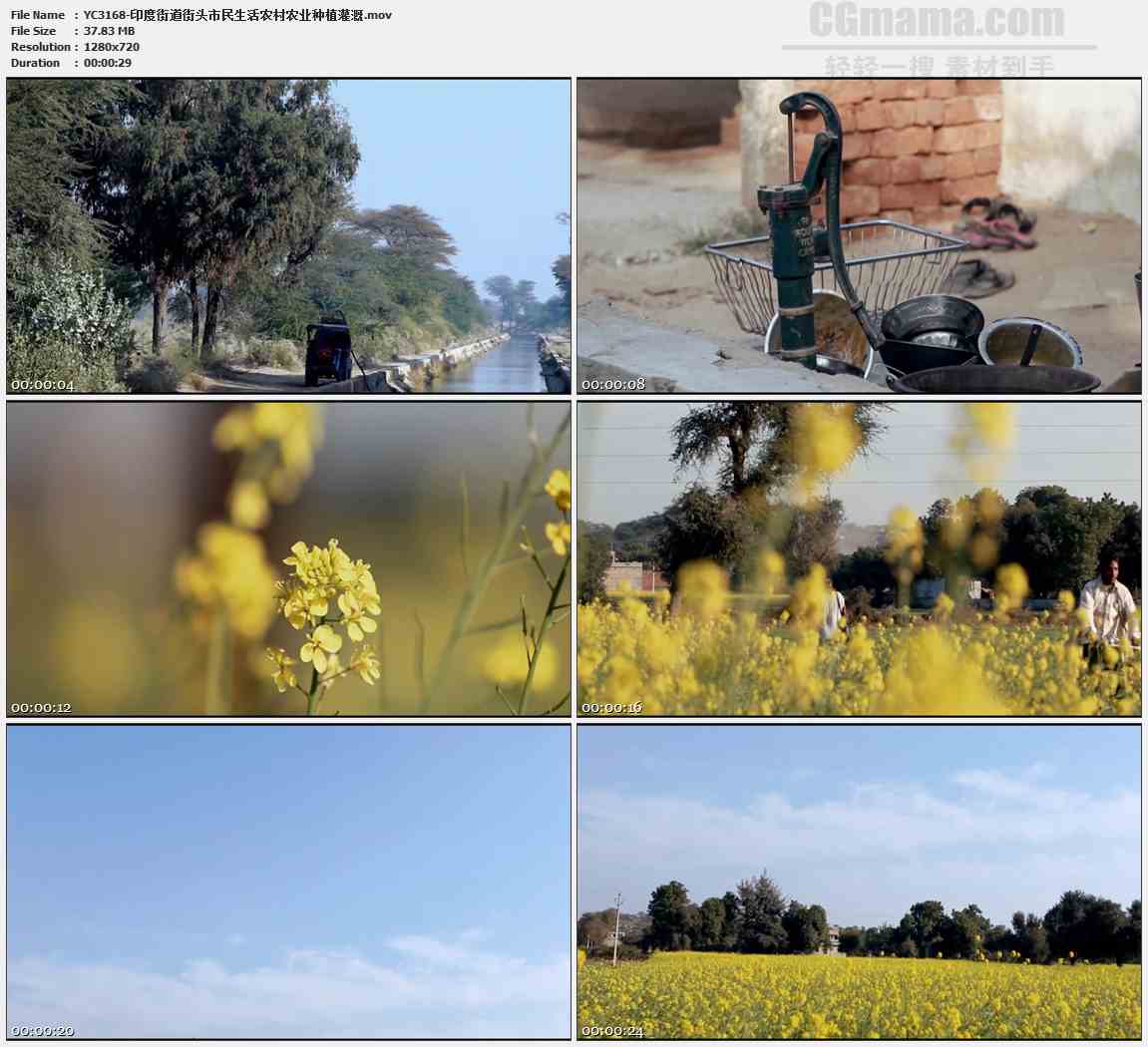YC3168-印度街道街头市民生活农村农业种植灌溉高清实拍视频素材