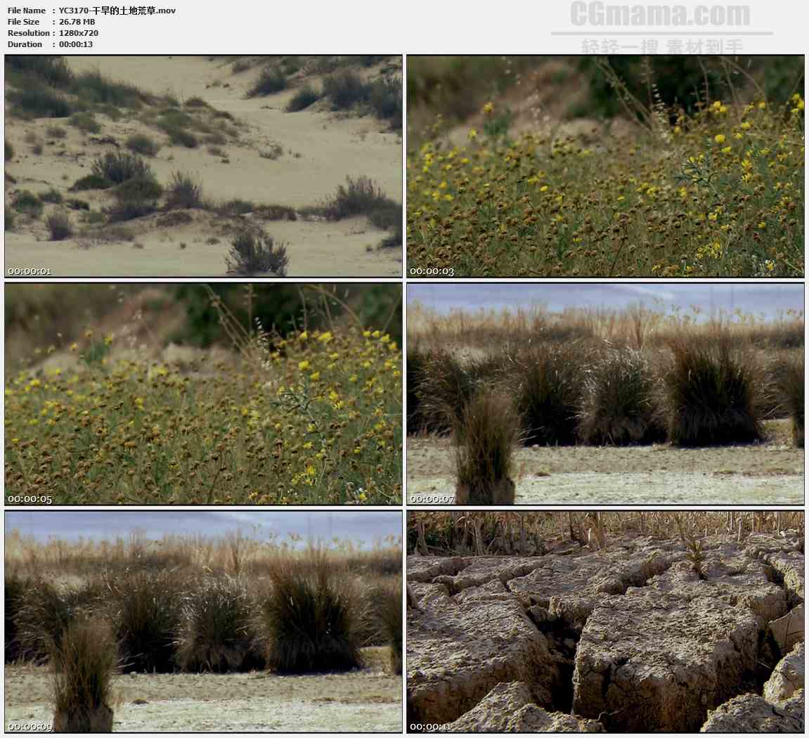 YC3170-干旱的土地荒草高清实拍视频素材