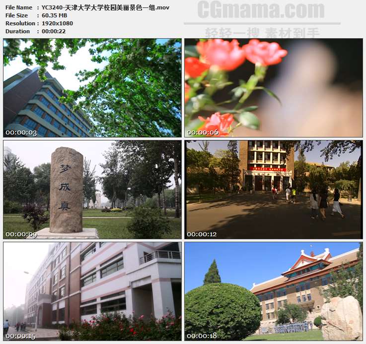 YC3240-天津大学大学校园美丽景色一组高清实拍视频素材