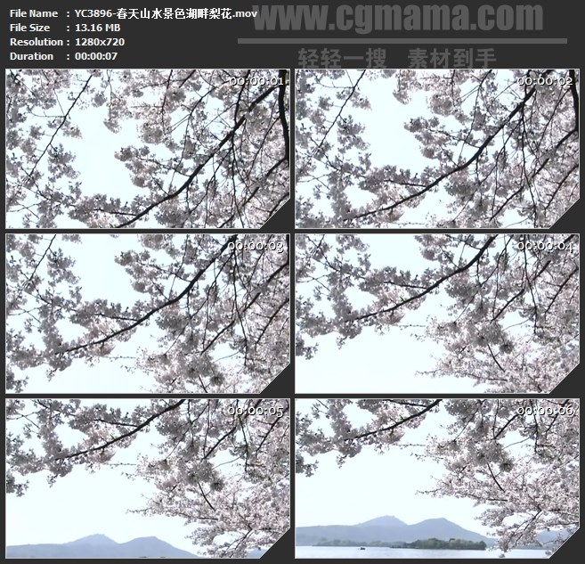 YC3896-春天山水景色湖畔梨花高清实拍视频素材