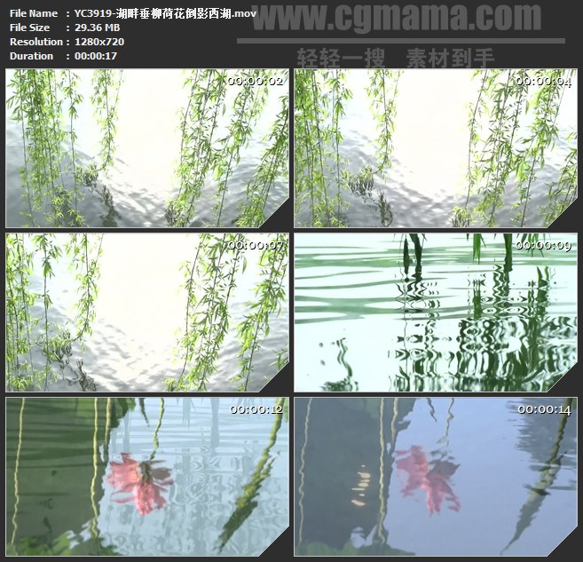 YC3919-湖畔垂柳荷花倒影西湖高清实拍视频素材