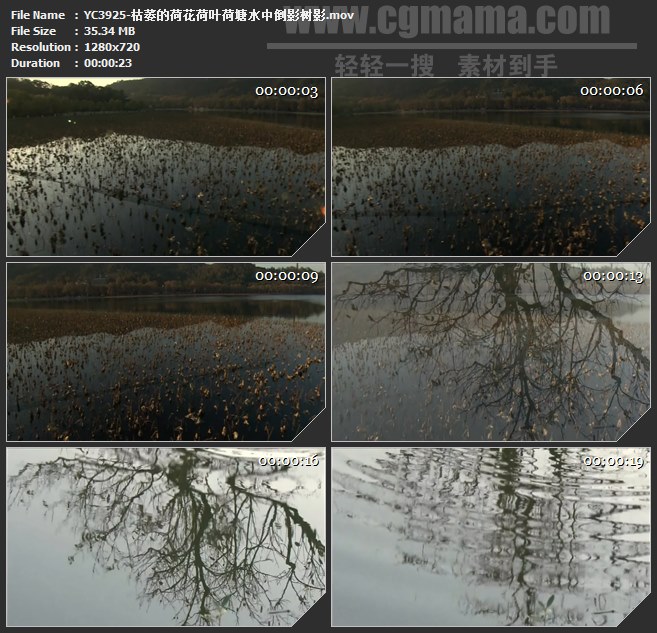 YC3925-枯萎的荷花荷叶荷塘水中倒影树影高清实拍视频素材