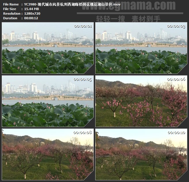 YC3980-现代城市风景杭州西湖断桥荷花桃花湖山景色高清实拍视频素材