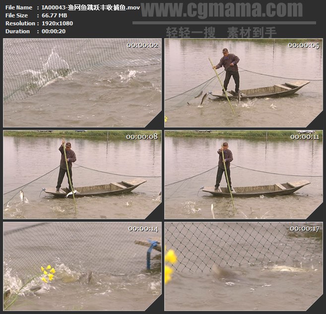 IA00043-渔网捕鱼跳跃丰收渔业高清实拍视频素材