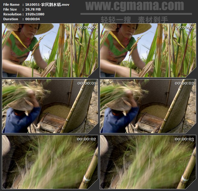 IA10051-农民割水稻打稻米脱壳高清实拍视频素材