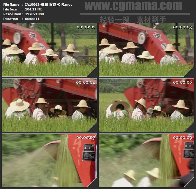 IA10062-联合收割机收割水稻脱壳现代化农业高清实拍视频素材