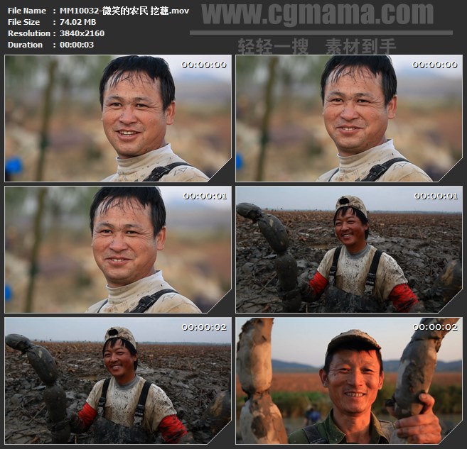 MM10032-微笑笑脸农民挖藕高清实拍视频素材