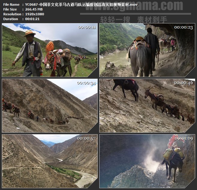 YC0687-中国茶文化茶马古道马队运输原创高清实拍视频素高清实拍视频素材