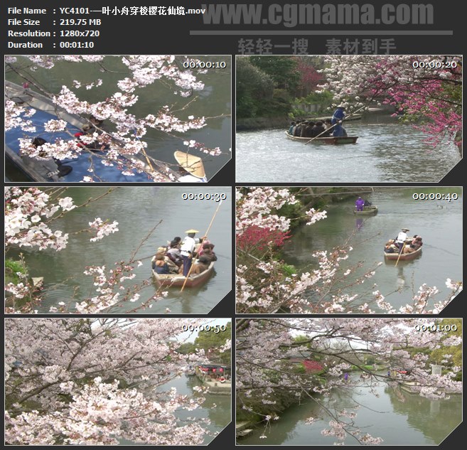 YC4101-一叶小舟穿棱樱花仙境高清实拍视频素材