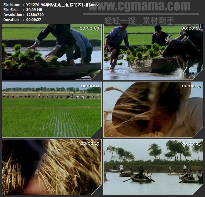 YC4270-90年代江边上忙碌的农民们高清实拍视频素材