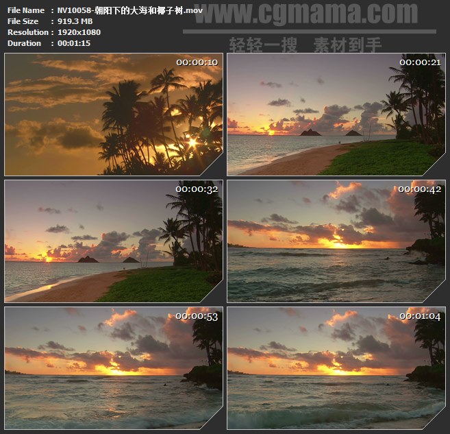 NV10058-朝阳下的大海和椰子树高清实拍视频素材
