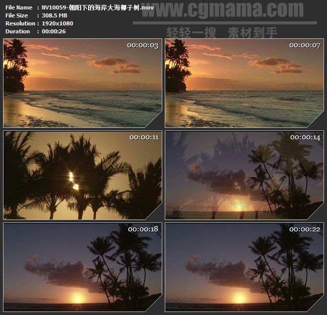 NV10059-朝阳下的海岸大海椰子树高清实拍视频素材
