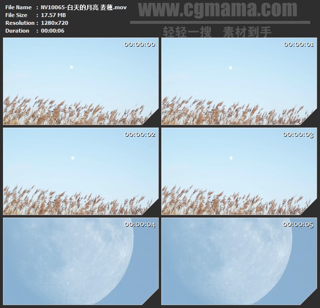 NV10065-天空月亮麦穗芦苇荡自然美景高清实拍视频素材