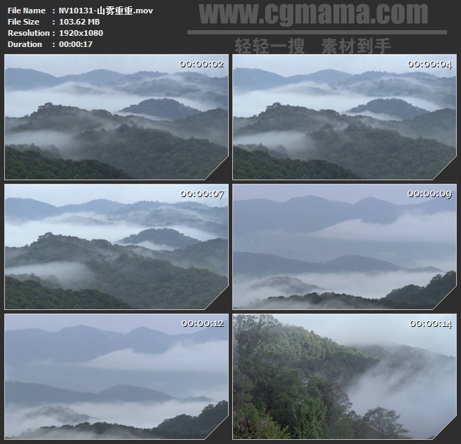 NV10131-山雾树林山谷自然美丽景观高清实拍视频素材