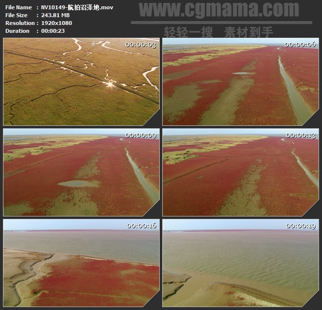 NV10149-航拍沼泽地自然美景高清实拍视频素材
