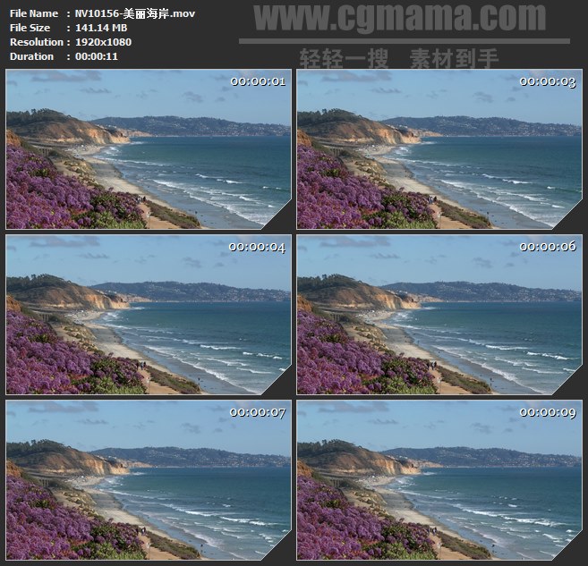NV10156-美丽海岸海岛野花海滩高清实拍视频素材