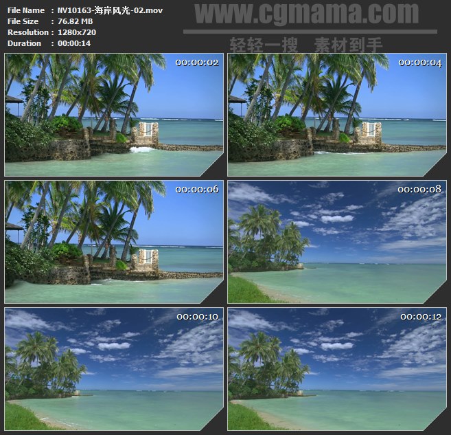 NV10163-海岸港口礁石椰林自然风光美景高清实拍视频素材