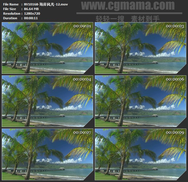 NV10168-海岸椰树沙滩海浪风光高清实拍视频素材