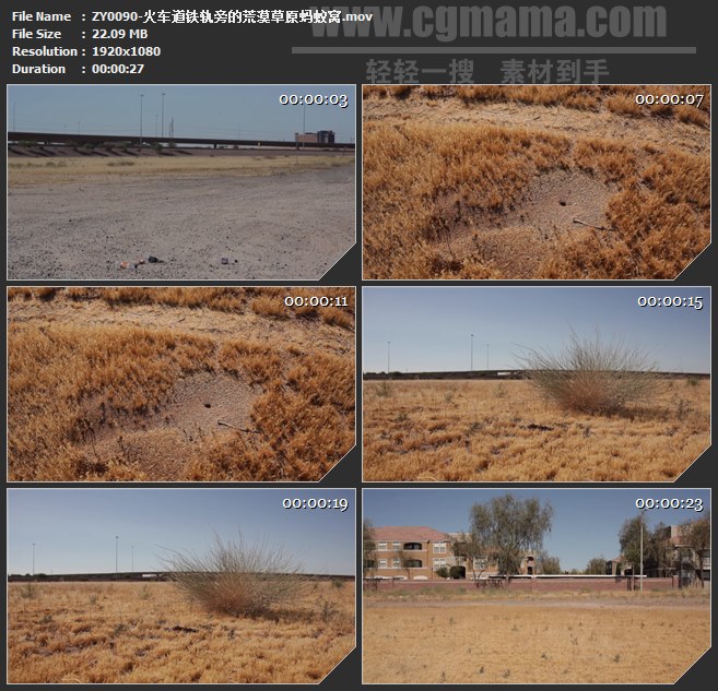 ZY0090-火车道铁轨旁的荒漠草原蚂蚁窝 高清实拍视频素材