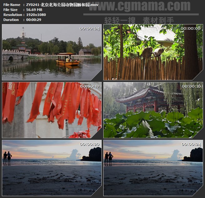 ZY0241-北京北海公园动物园颐和园 高清实拍视频素材