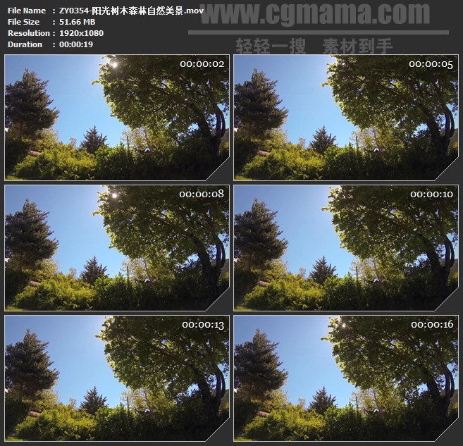 ZY0354-阳光树木森林自然美景 高清实拍视频素材