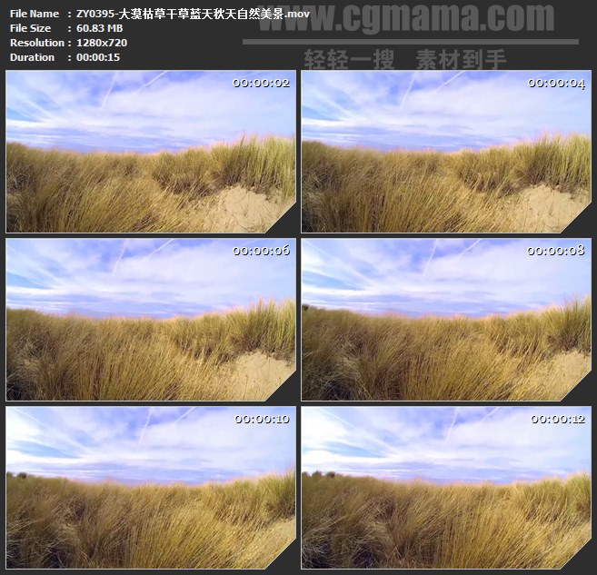 ZY0395-大漠枯草干草蓝天秋天自然美 高清实拍视频素材
