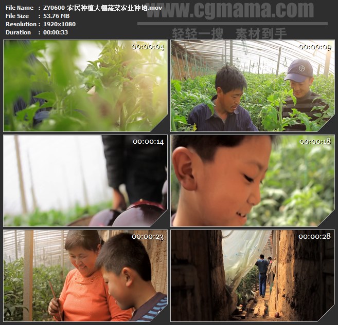 ZY0600-农民种植大棚蔬菜农业种地 高清实拍视频素材