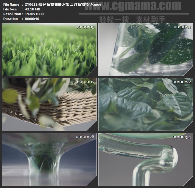 ZY0612-绿色植物树叶水果萃取植物精华 高清实拍视频素材