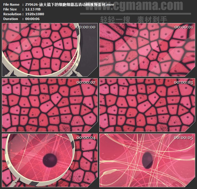 ZY0626-放大镜下的细胞细菌高清动画视频素材 高清实拍视频素材