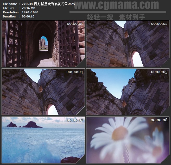 ZY0644-西方城堡大海浪花花朵 高清实拍视频素材