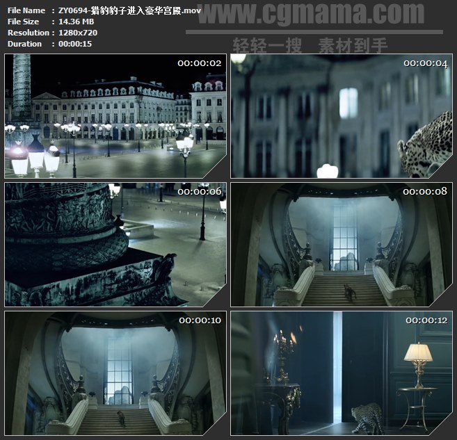 ZY0694-猎豹豹子进入豪华宫殿 高清实拍视频素材