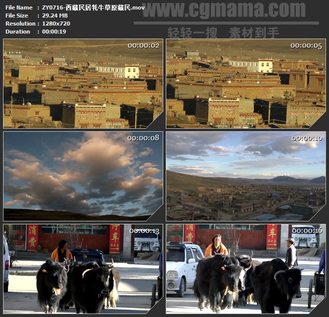 ZY0716-西藏民居牦牛草原藏民 高清实拍视频素材