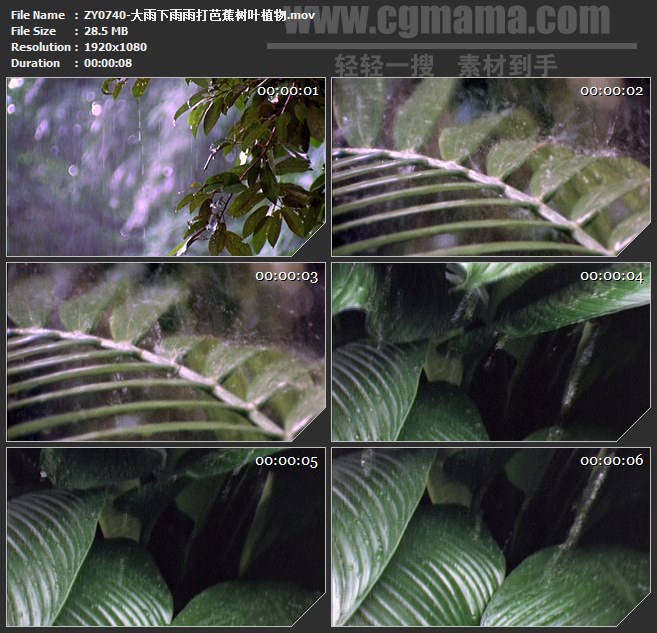 ZY0740-大雨下雨雨打芭蕉树叶植物高清实拍视频素材