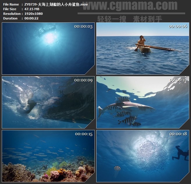 ZY0739-大海上划船的人小舟鲨鱼 高清实拍视频素材