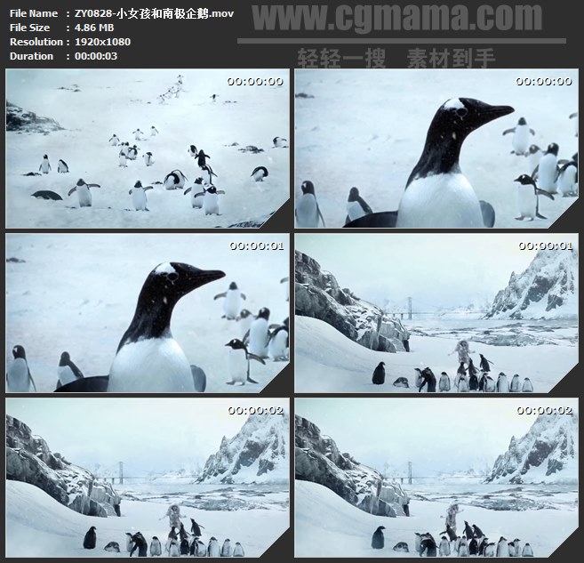 ZY0828-小女孩和南极企鹅 高清实拍视频素材