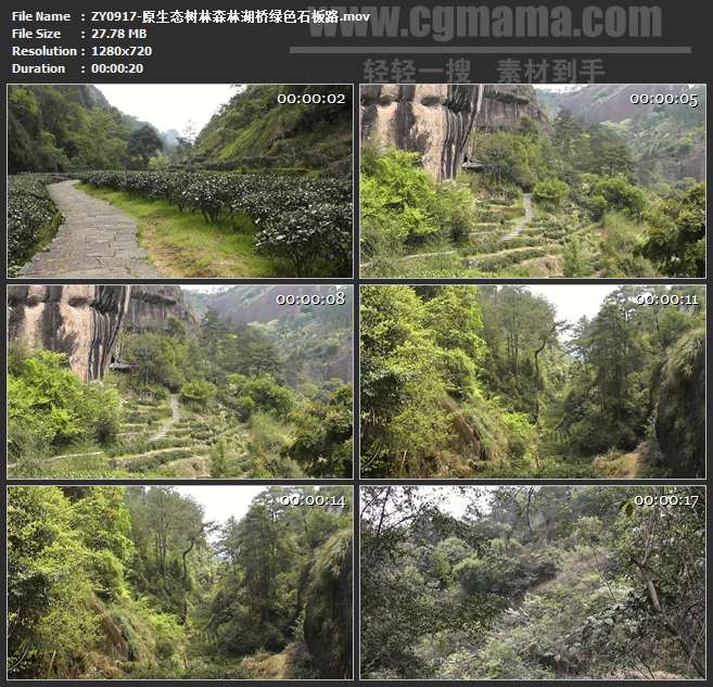 ZY0917-原生态树林森林湖桥绿色石板路 高清实拍视频素材
