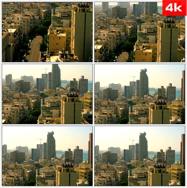 4K0013在以色列城市行道树木 高清实拍视频素材