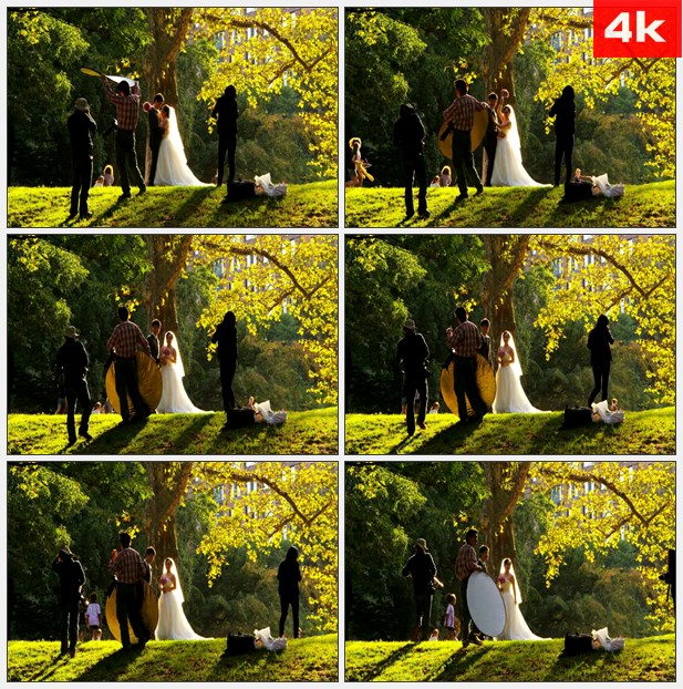 4K0022在公园里拍摄婚纱 高清实拍视频素材