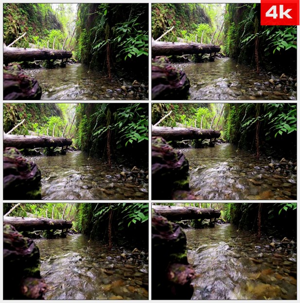 4K0117峡谷中流淌着清澈的小溪高清实拍视频素材