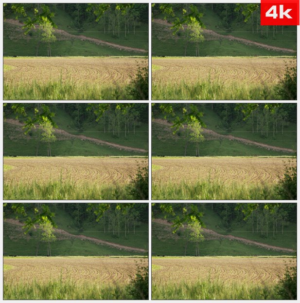 4K0126西弗吉尼亚州的农场 高清实拍视频素材